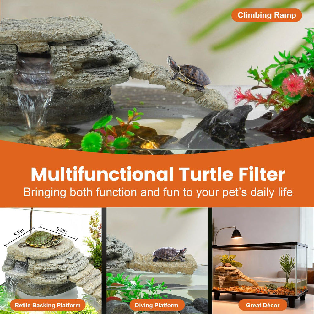 MIXJOY tortue sur plateforme bénéficiant d'un bain de soleil sûr