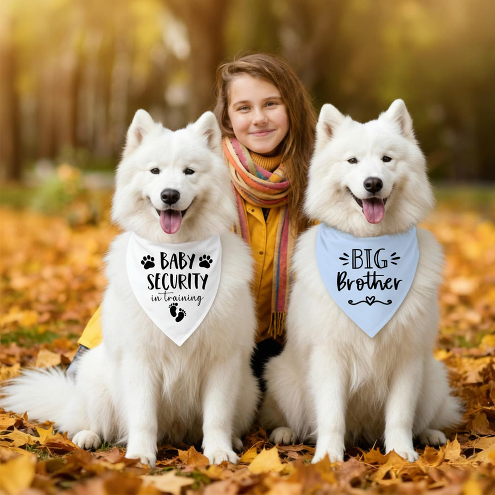 Mixrowa bandana comparaison taille aide à choisir pour votre chien
