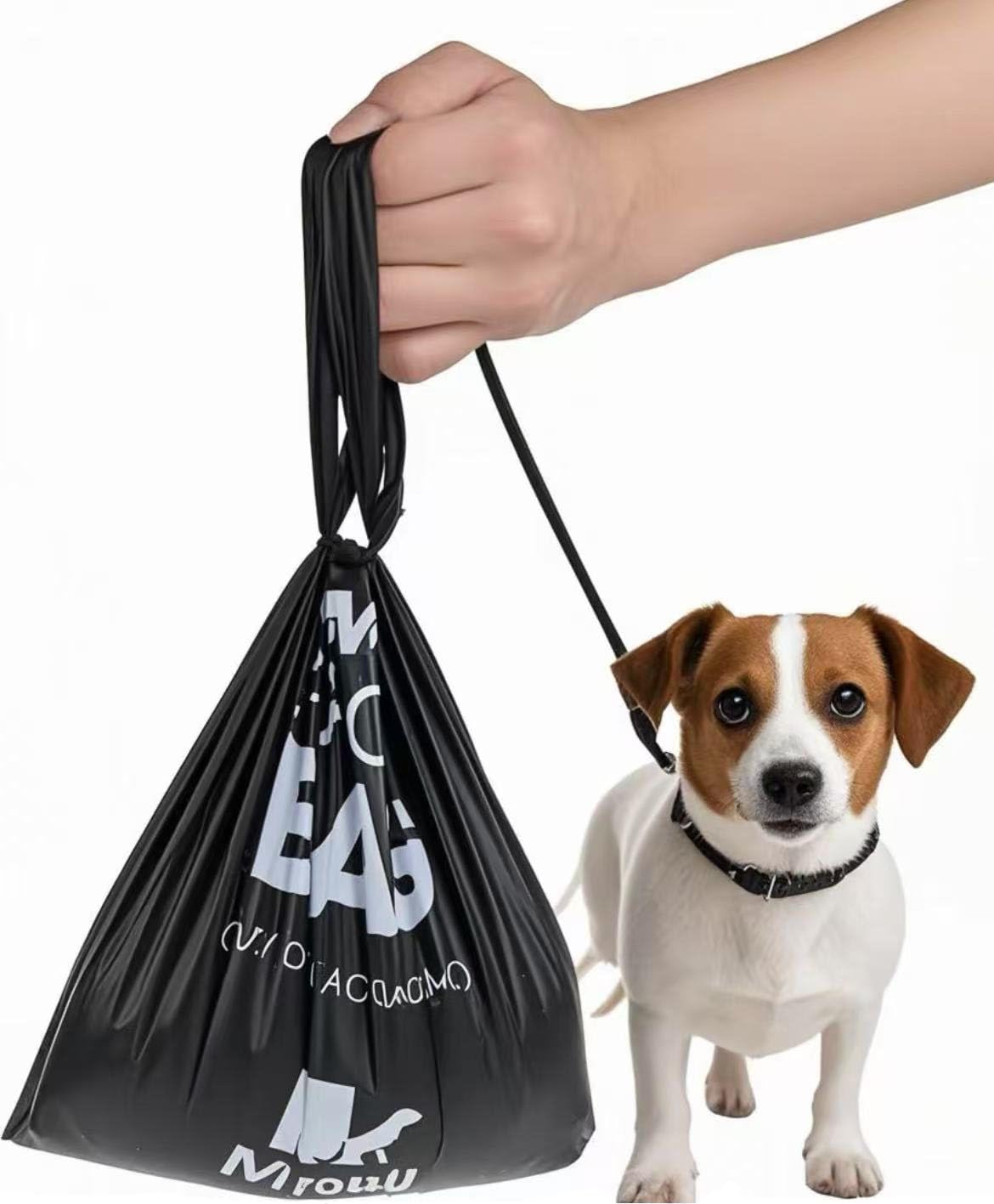 Miyouli près d'un chien pour illustrer l'échelle et adaptabilité