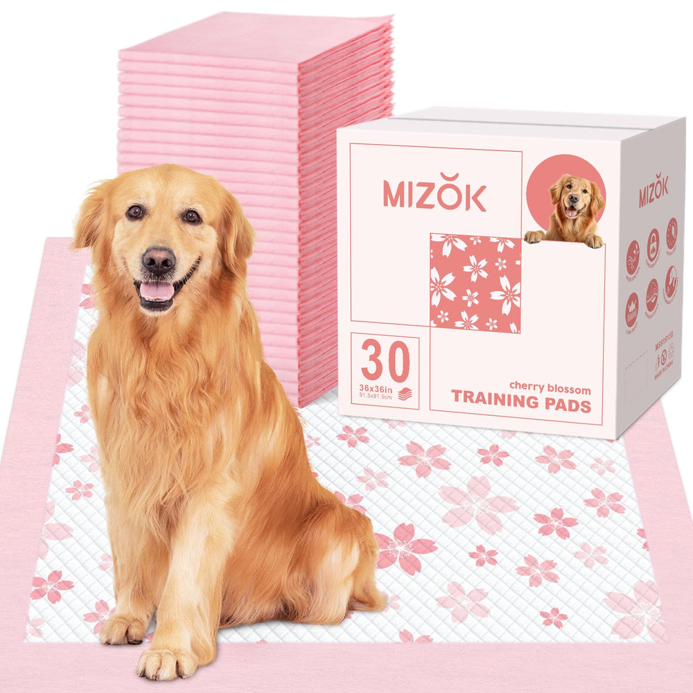 MIZOK emballage avant montrant le motif cerisier et informations produit