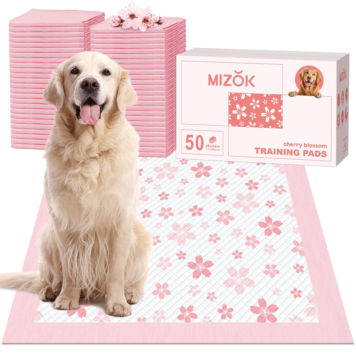 MIZOK vue avant de l’emballage 50 unités, protection pratique