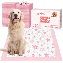MIZOK vue avant de l’emballage 50 unités, protection pratique