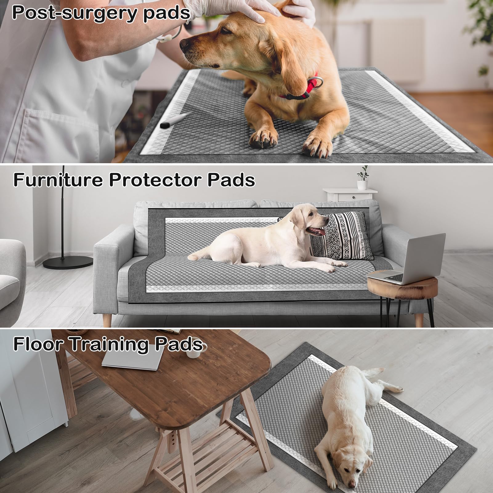 MIZOK mise en situation intérieur tapis gardant sols sans taches