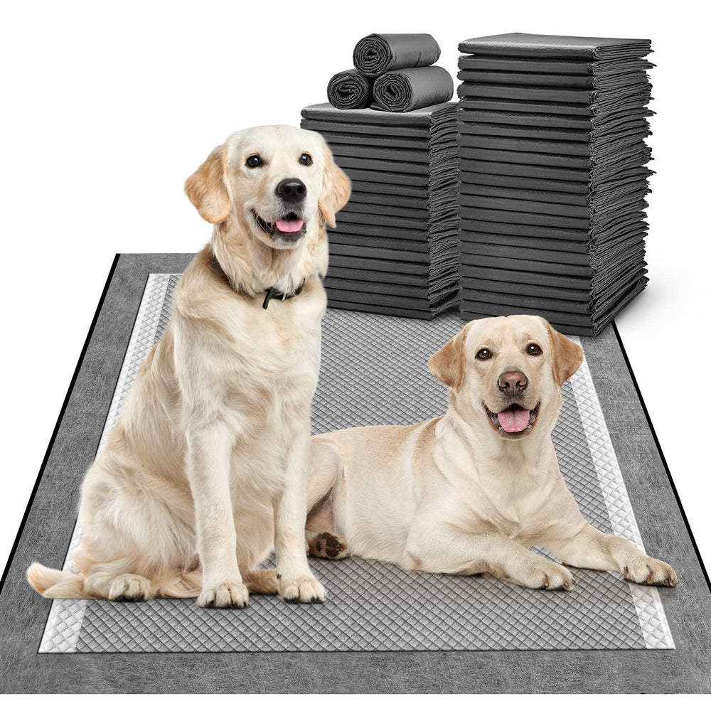 MIZOK emballage avant montrant le lot et la taille XL pour protection pratique
