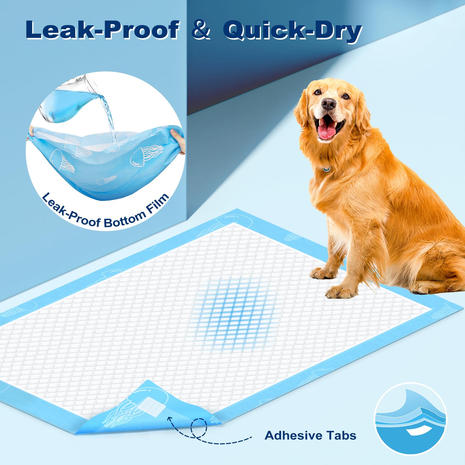 MIZOK tapis en usage avec chien, mise en place simple et propre