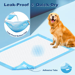 MIZOK tapis en usage avec chien, mise en place simple et propre