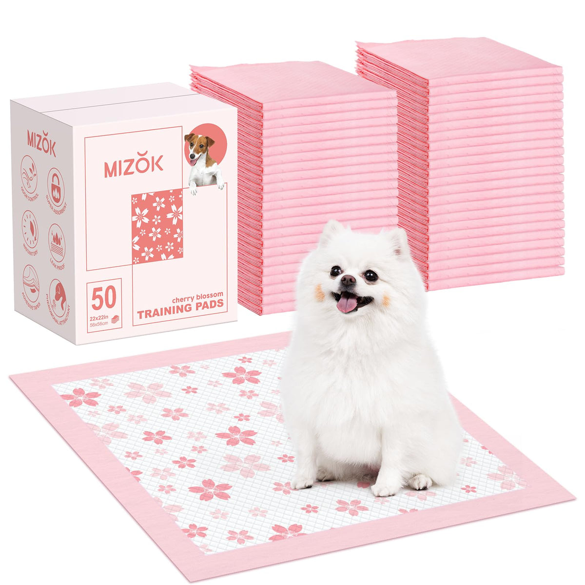 MIZOK visage du paquet rose montrant un bénéfice esthétique pour la maison