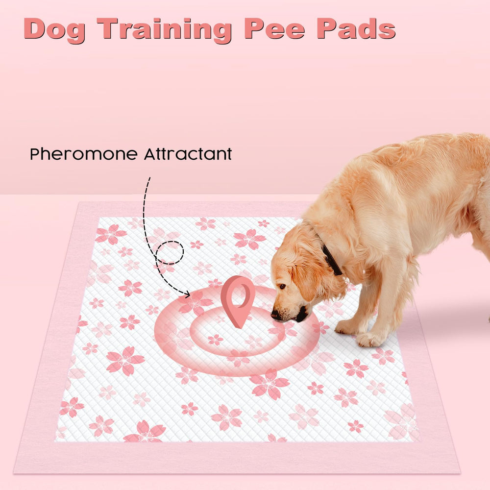 MIZOK chiot utilisant le tapis intérieur pour un entraînement facile