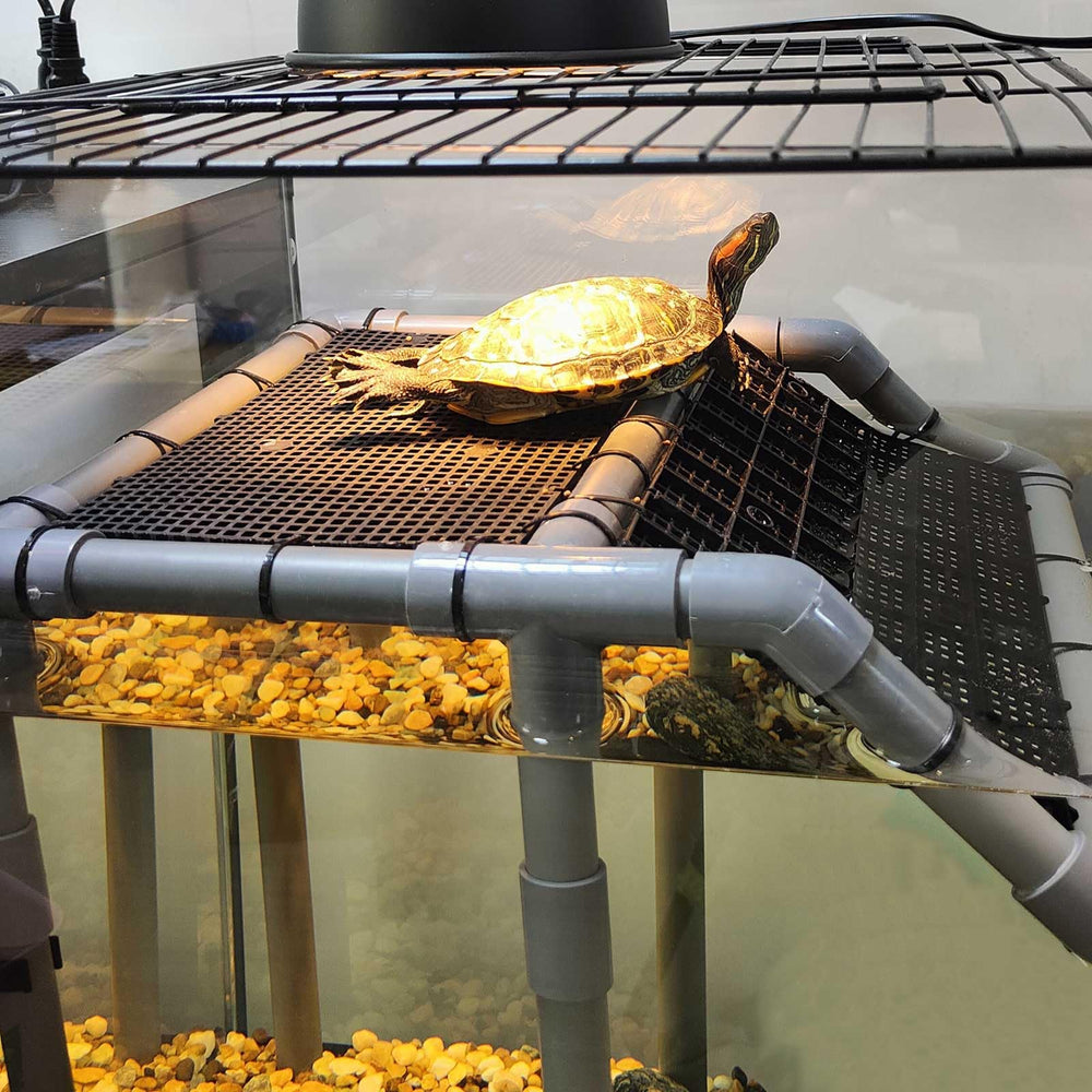 MLONDHSU rampe antidérapante gros plan facilitant montée de la tortue