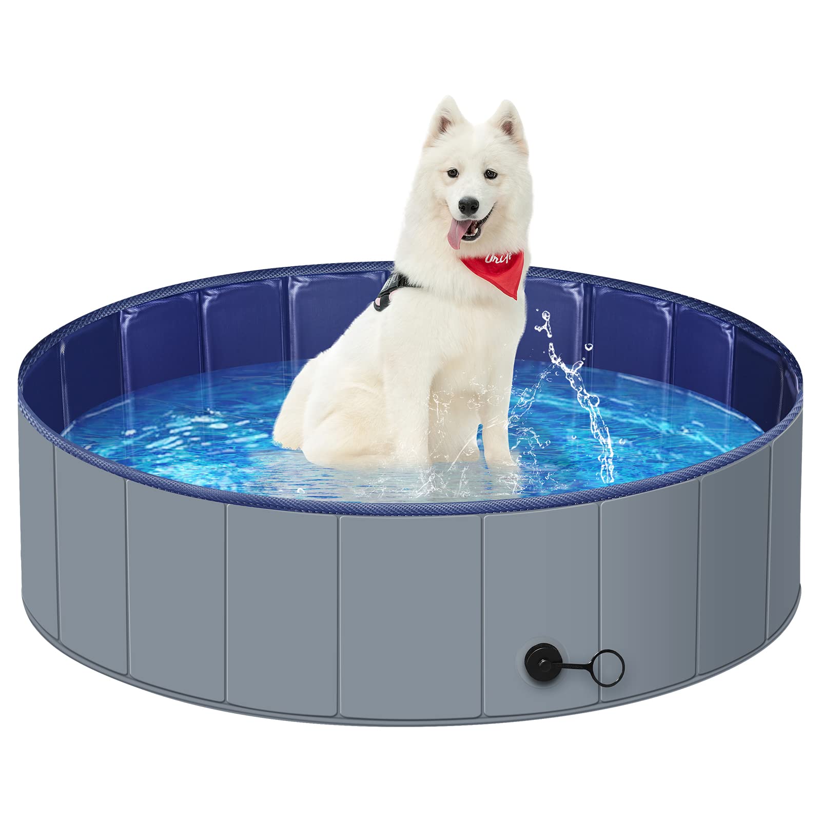 MMdipon piscine vue de face montrant la forme robuste et l'espace pour grand chien