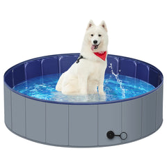 MMdipon piscine vue de face montrant la forme robuste et l'espace pour grand chien