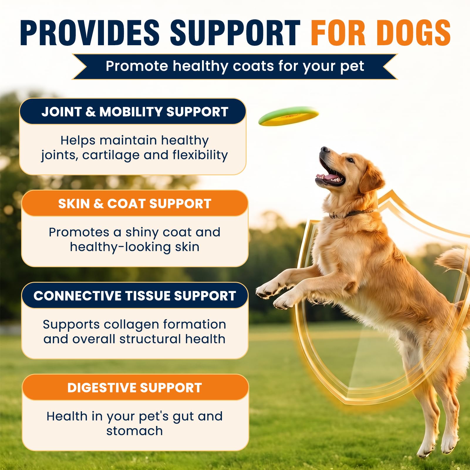 MNQAXZ gouttes sur patte de chien suggérant acceptation et confort