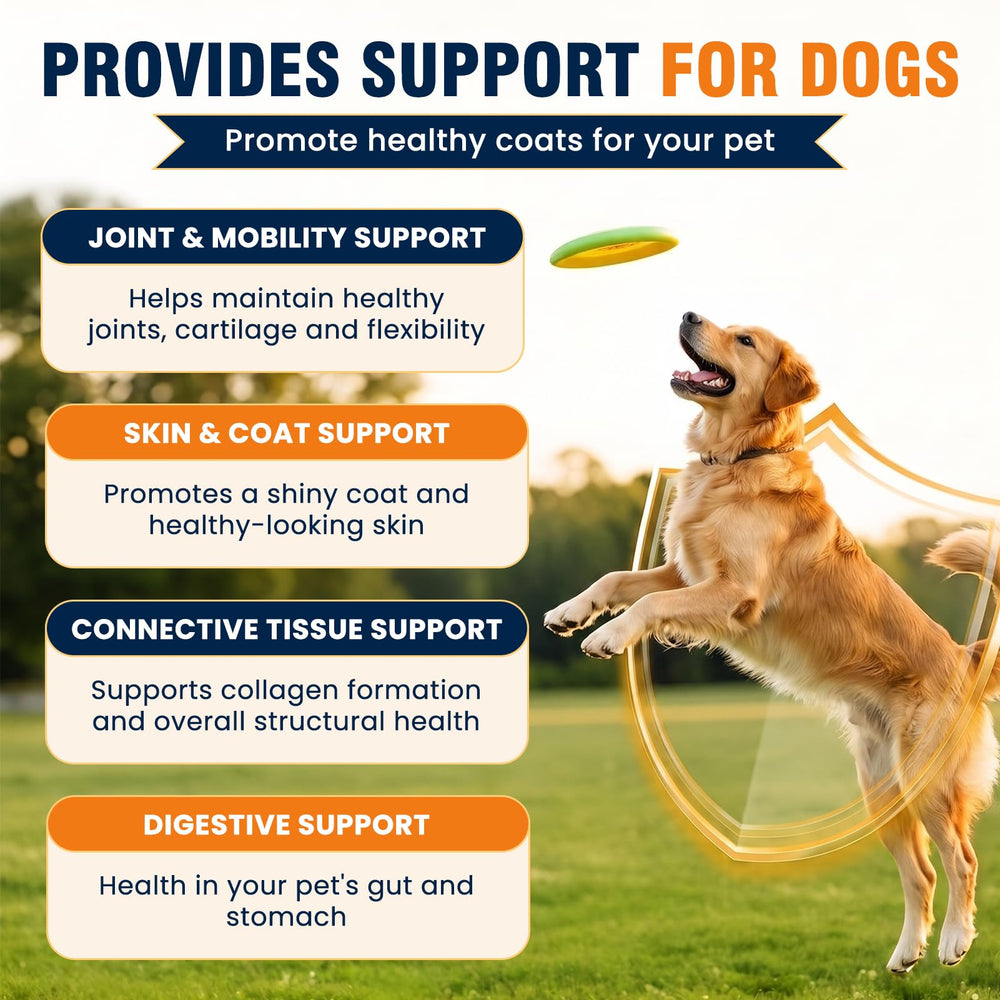 MNQAXZ gouttes sur patte de chien suggérant acceptation et confort