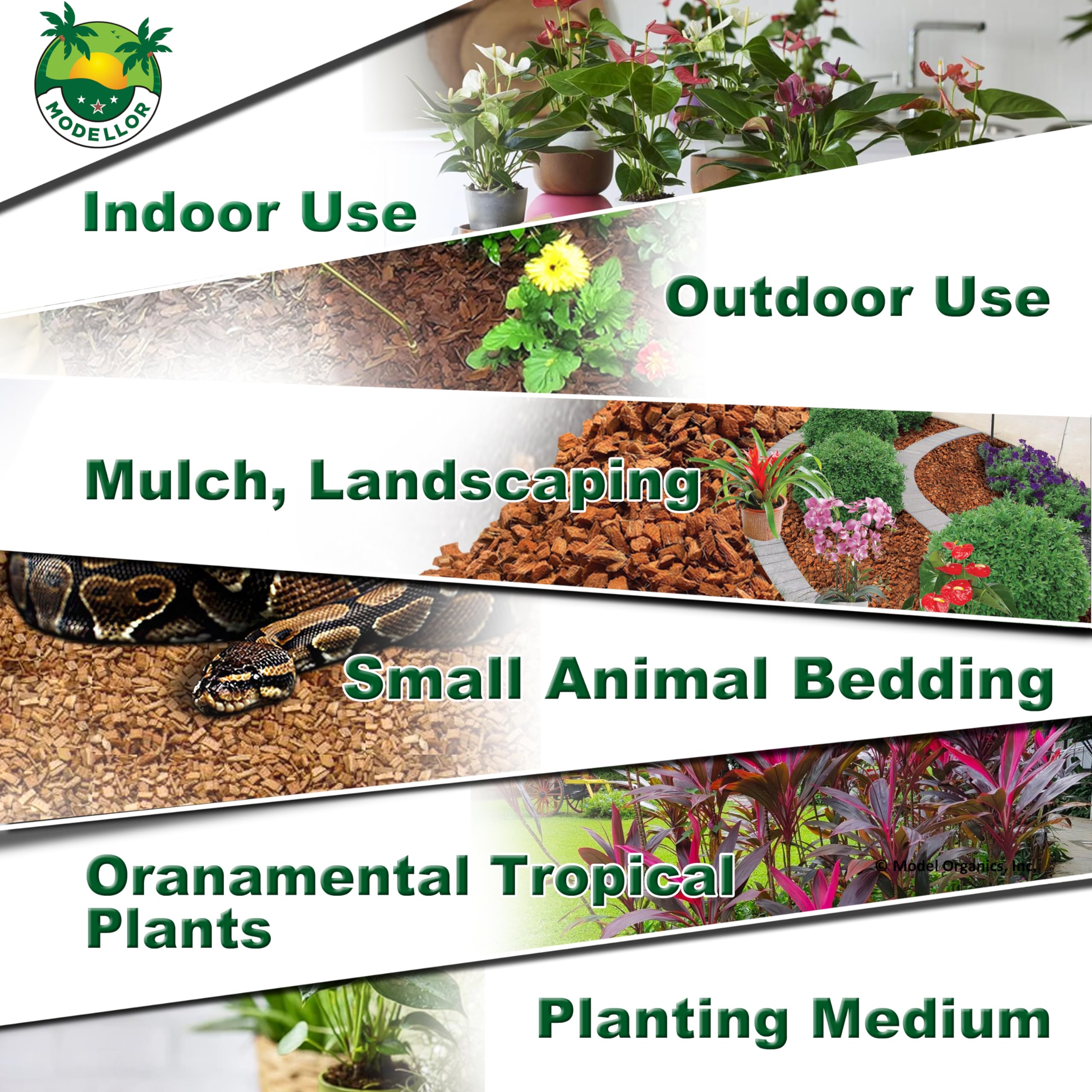 MODELLOR utilisation en terrarium pour habitat propre et contrôlé