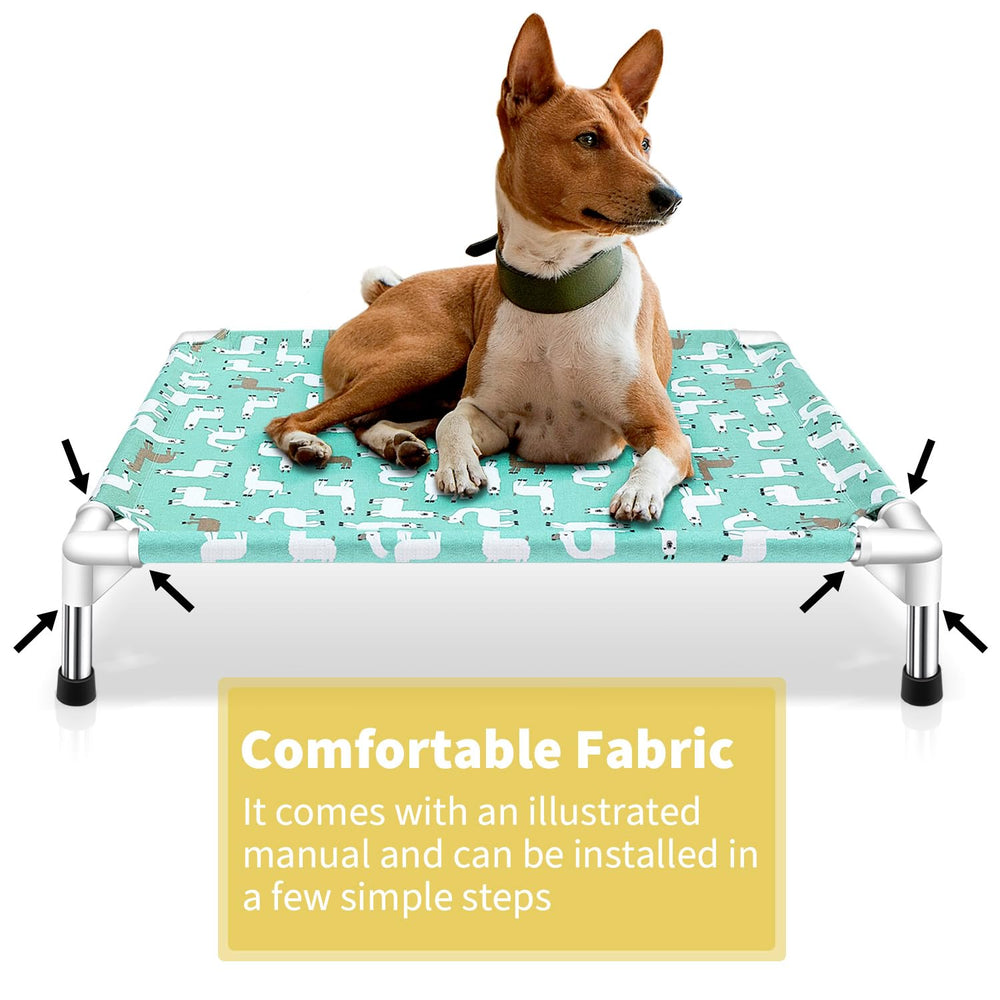 Modorki chien couché sur le lit illustrant confort et soutien