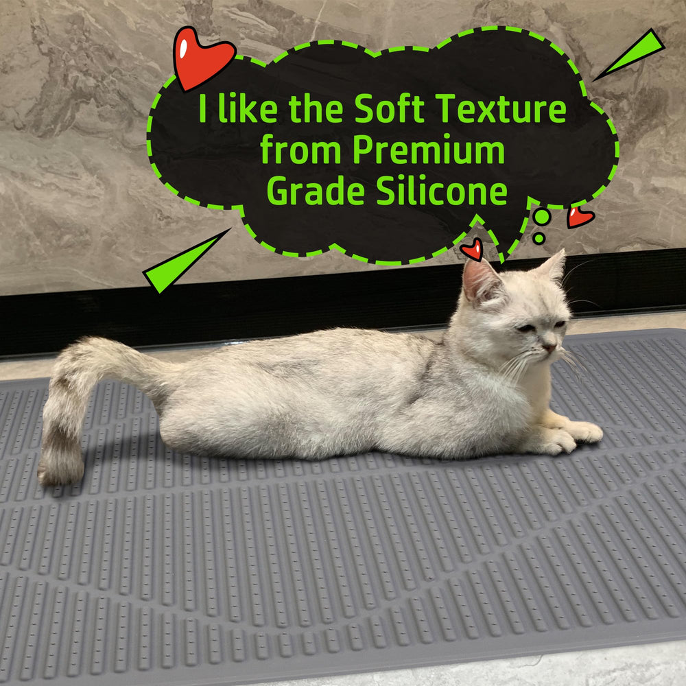 Mofason tapis intégré dans une pièce montrant protection discrète
