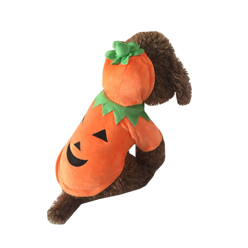 Mogoko scène de fête avec animal déguisé citrouille pour événements