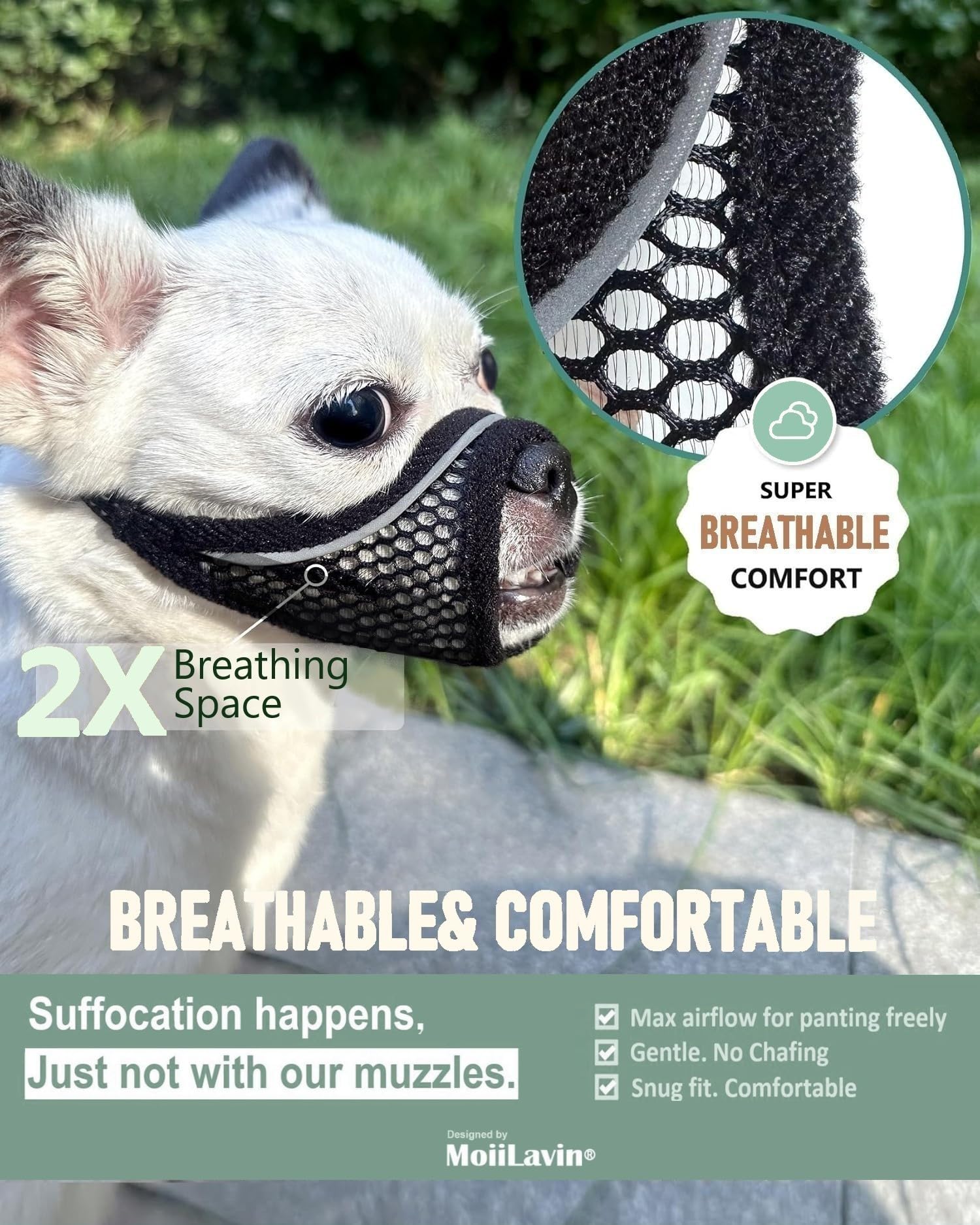 MoiiLavin bozal en usage chez vétérinaire offrant sécurité pendant examen