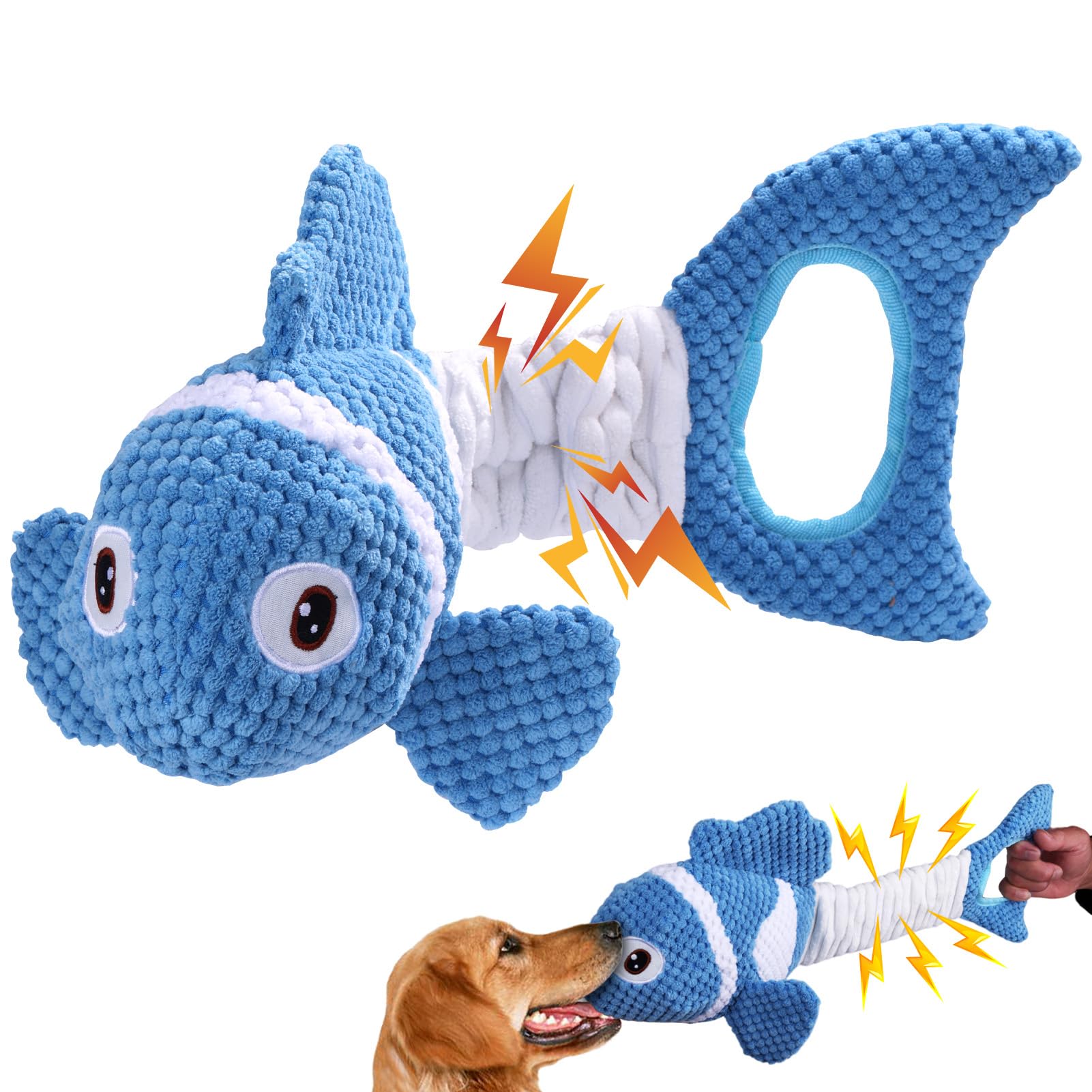 Molantaule face avant du clownfish montrant le design attrayant et durable