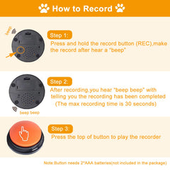 MOLIK bouton en usage avec chien facilitant dressage cohérent