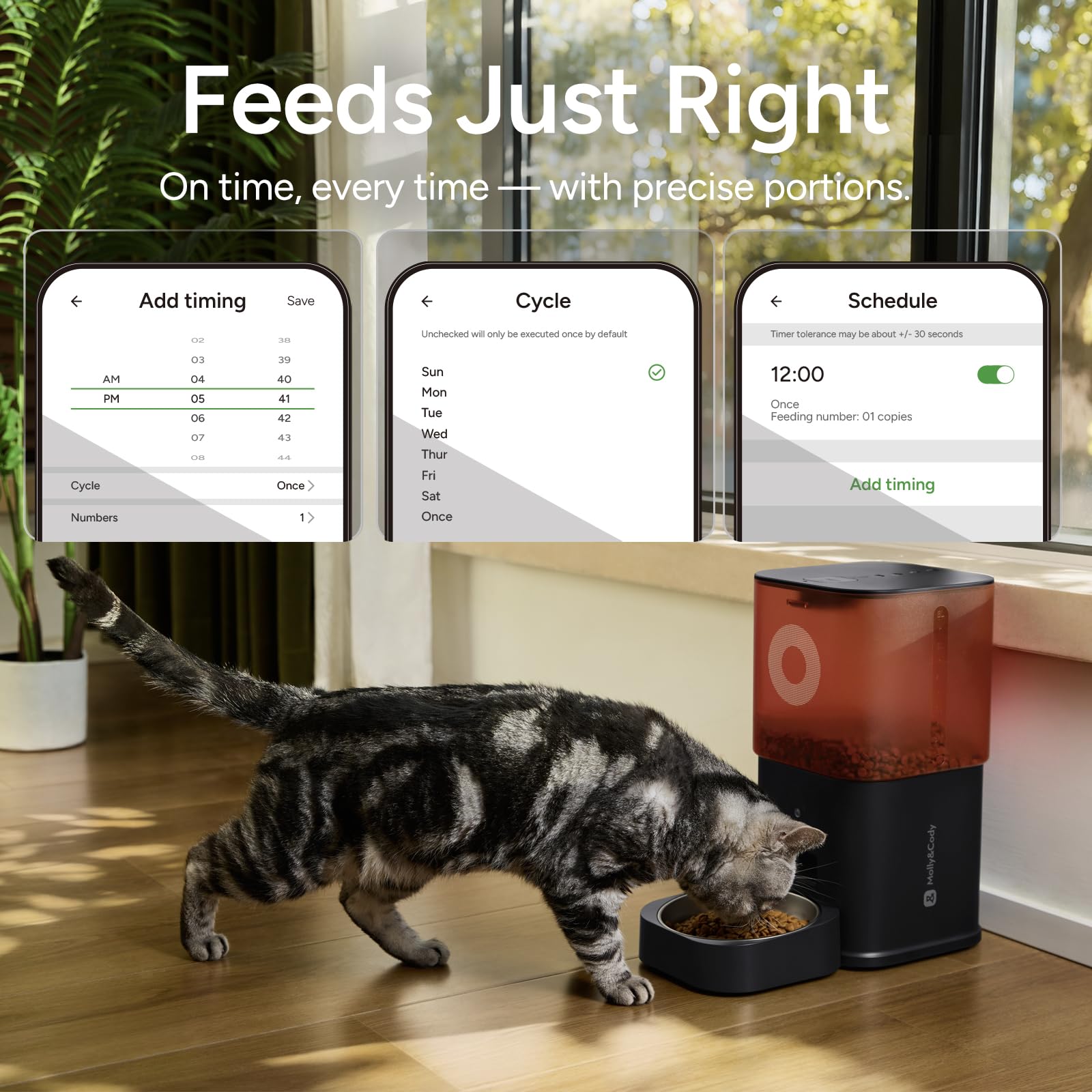 MOLLY&CODY écran d'application mobile contrôlant repas et caméra