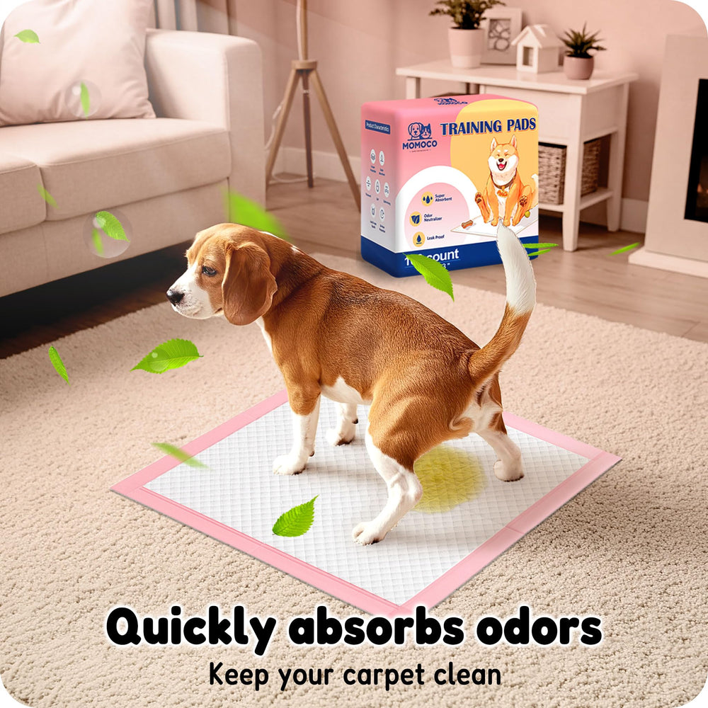 MoMoCo dos imperméable protégeant plancher bois et carrelage