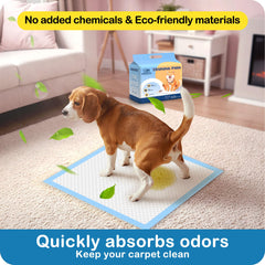 MoMoCo chiot utilisant le tapis pour un entraînement propre