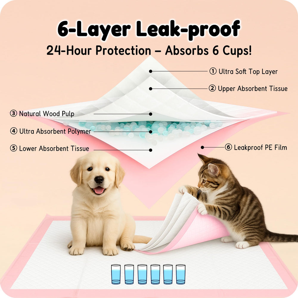 MoMoCo tapis en usage par un chiot pour entraînement propre