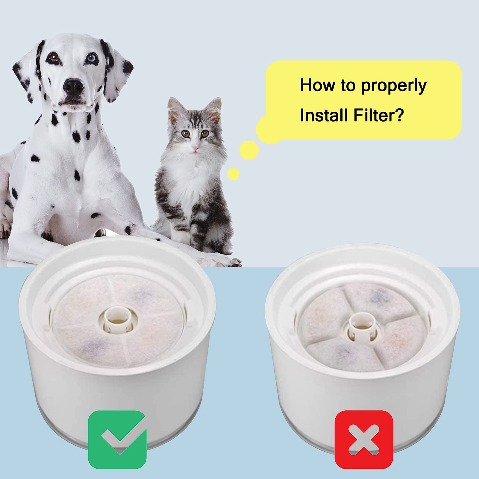Monsin filtre en usage près d'un chat encourageant consommation d'eau saine