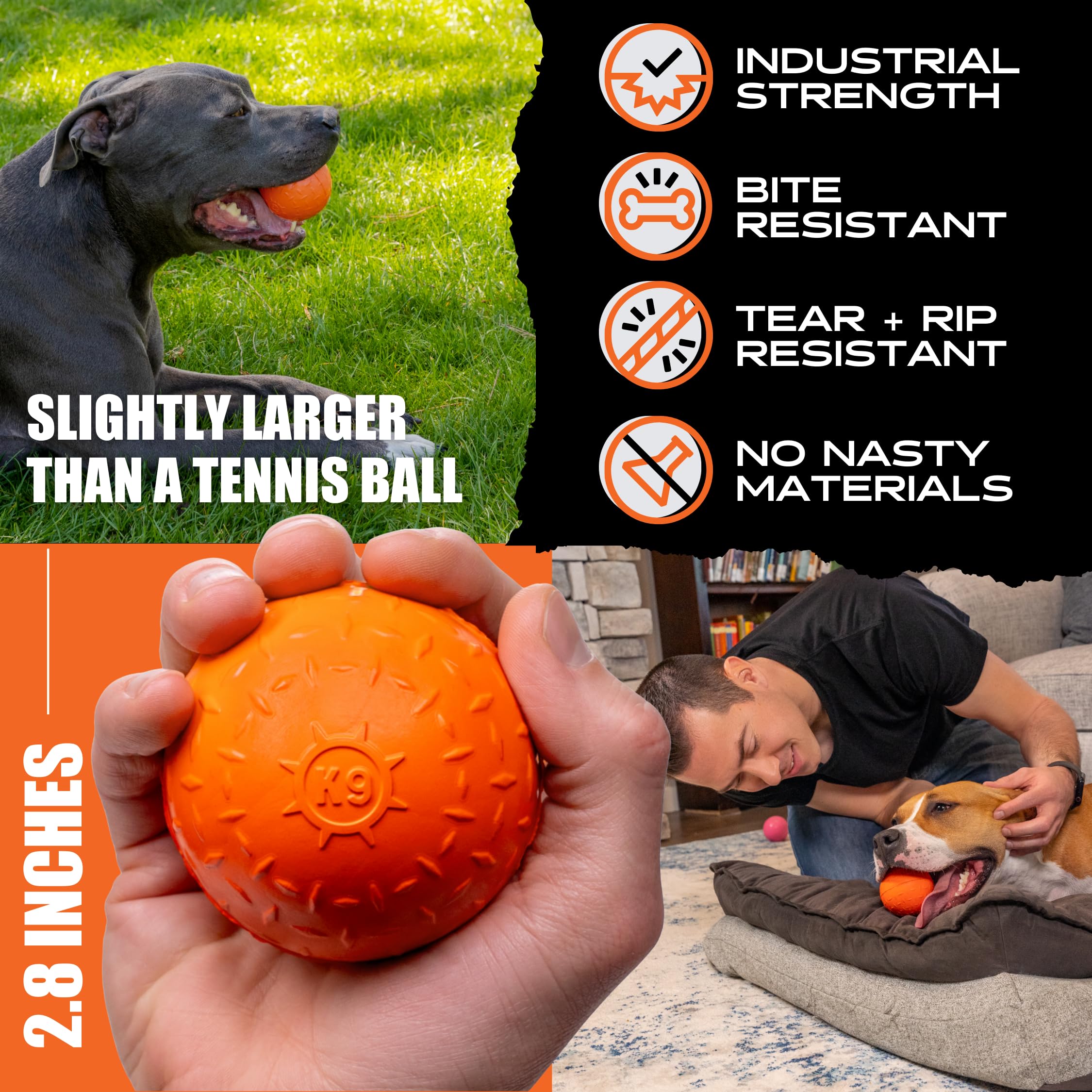 Monster K9 comparaison taille versus balle de tennis pour dimension