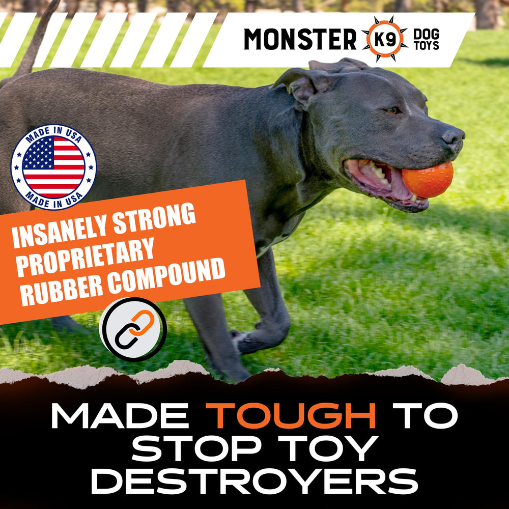 Monster K9 balle en action chien la rapporte pour amusement sûr