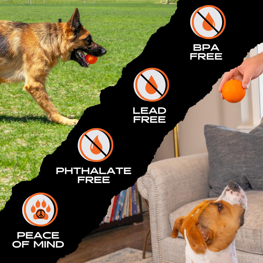 Monster K9 balle orange en parc pour visibilité et jeu extérieur