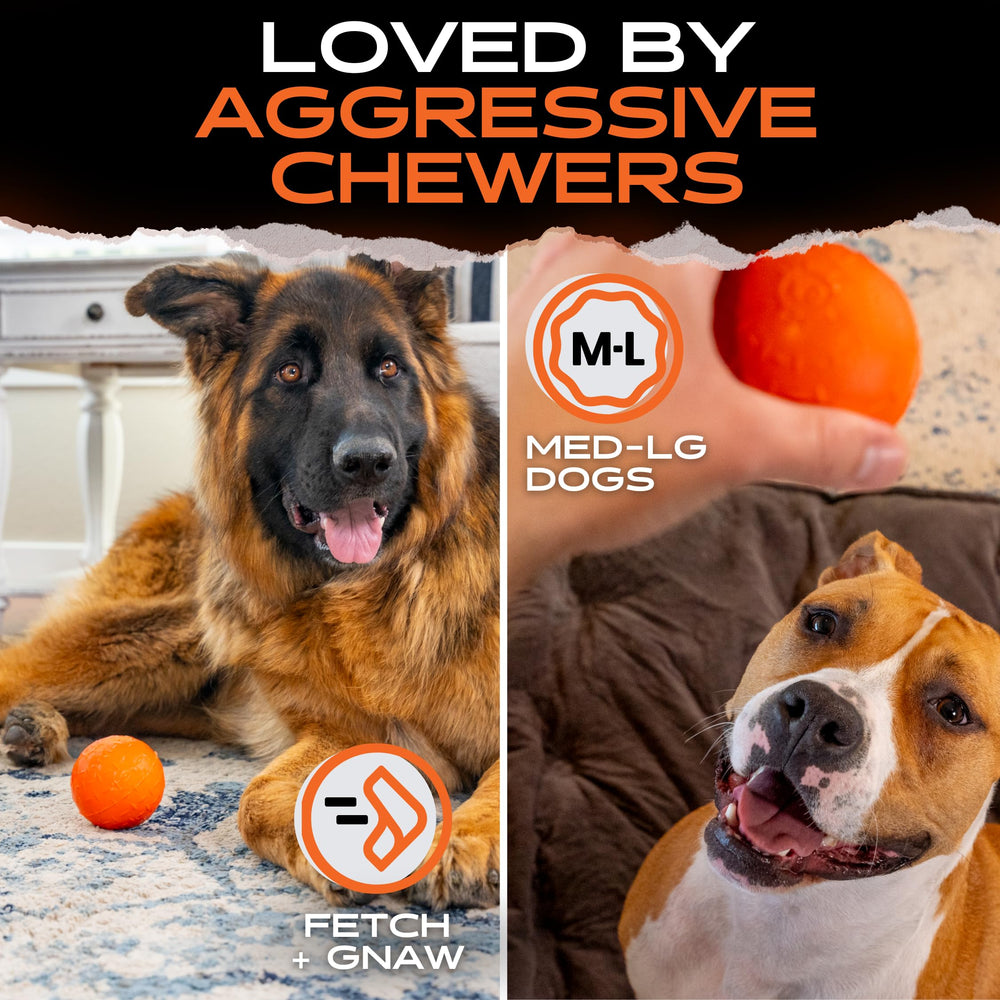 Monster K9 surface lisse de la balle montrant sécurité buccale