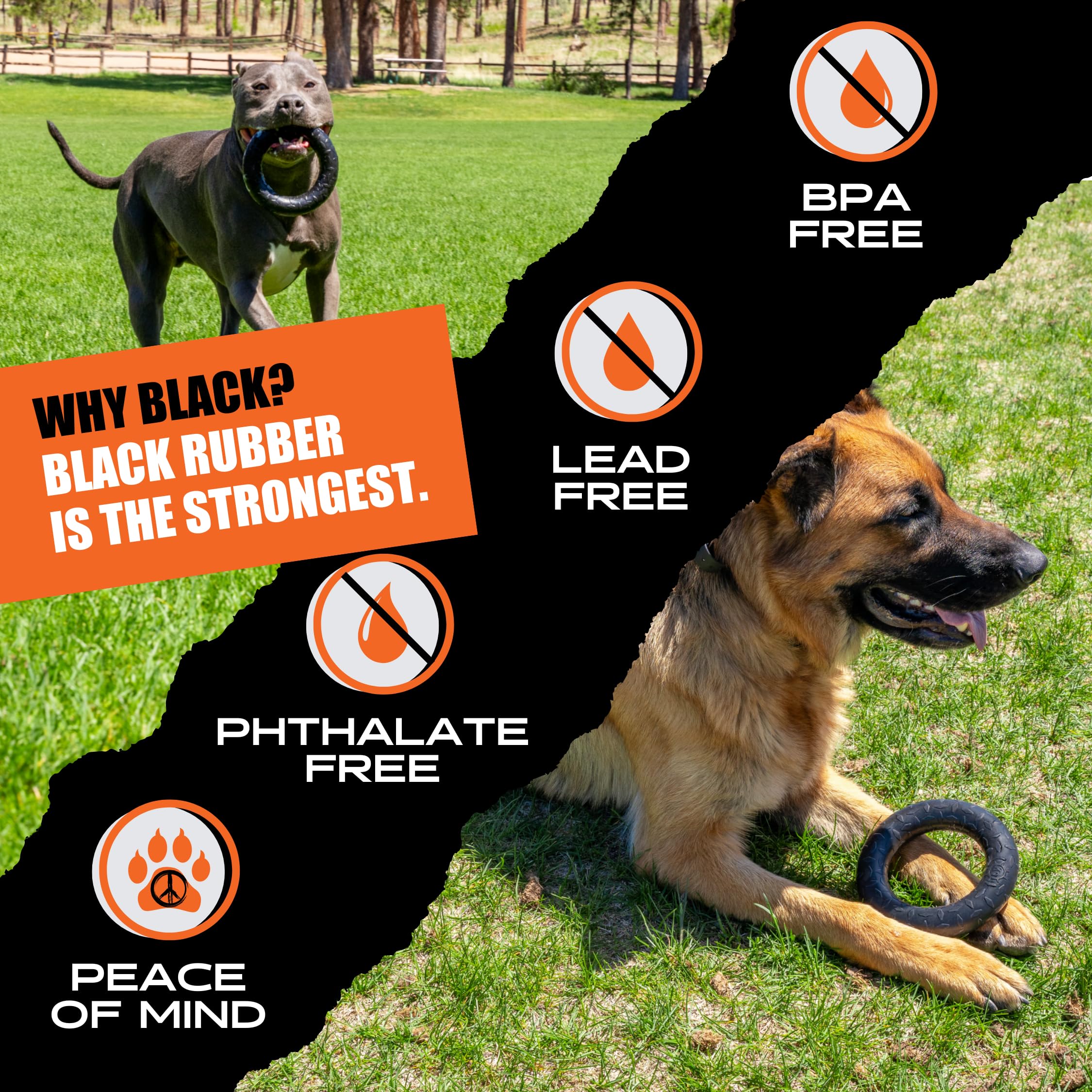 Profil du Monster K9 Chew Ring montrant l’épaisseur et la construction renforcée