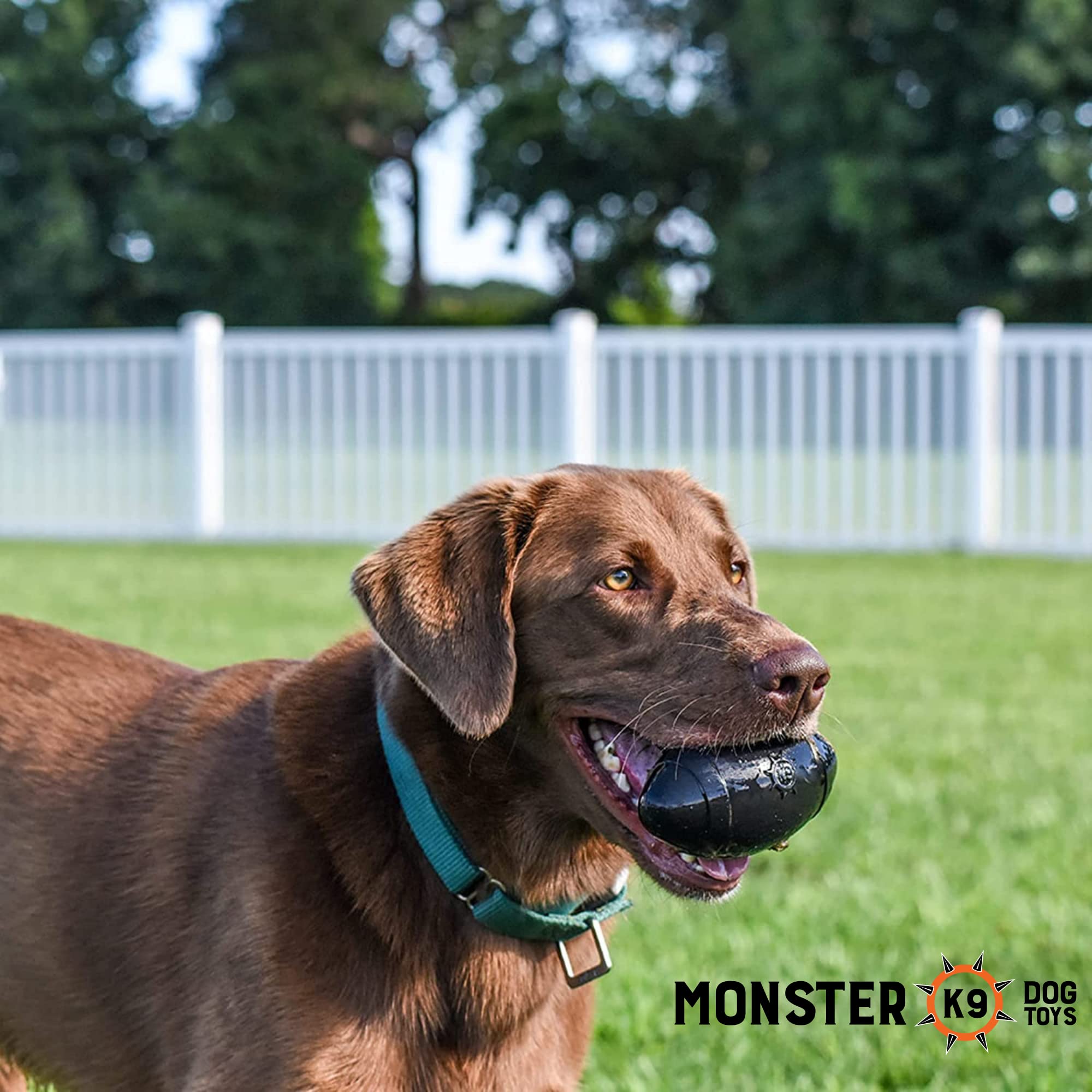 Monster K9 Dog Toys comparaison taille dans une main indiquant dimension 5 pouces adaptée