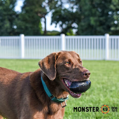 Monster K9 Dog Toys comparaison taille dans une main indiquant dimension 5 pouces adaptée