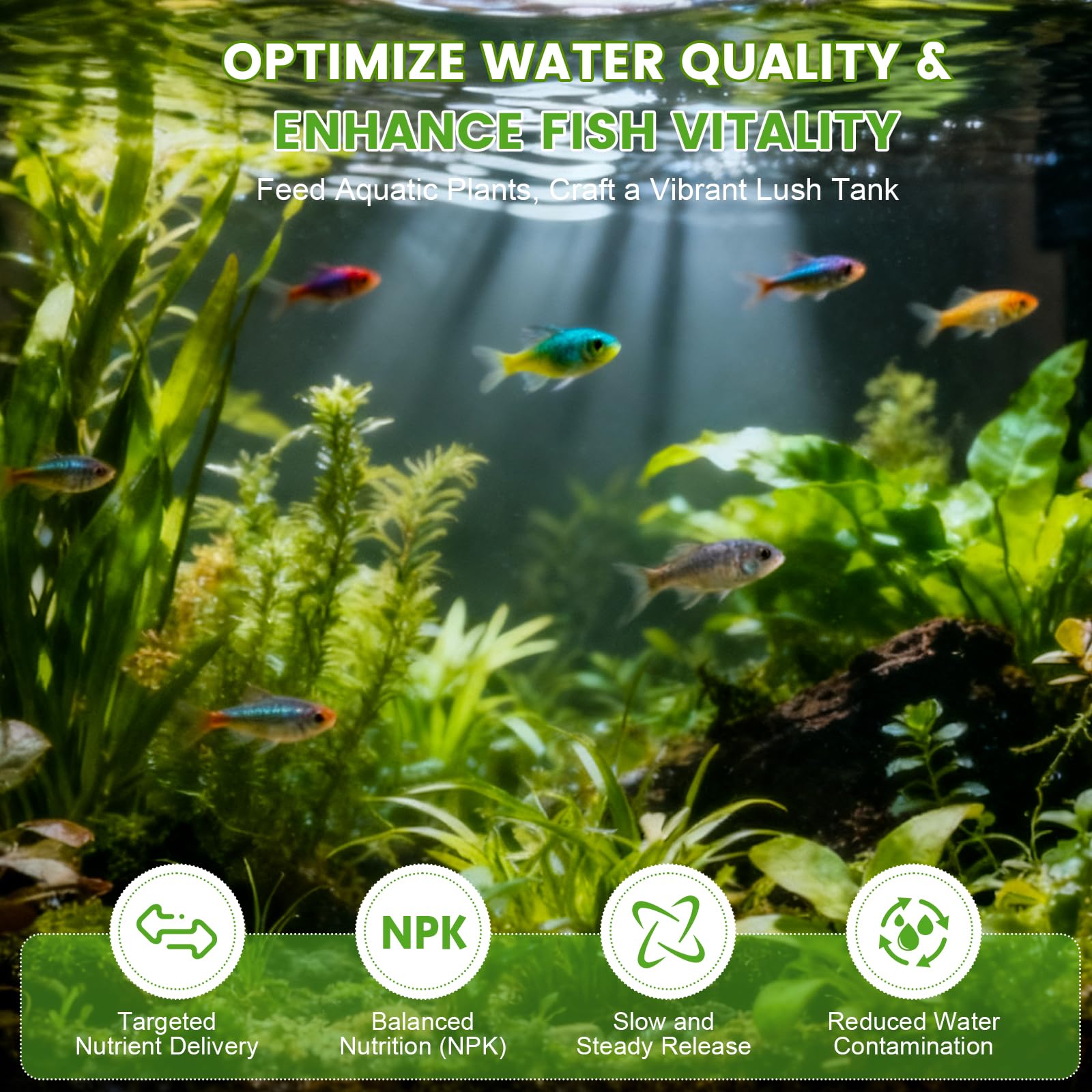 Montorchid aquarium planté montrant plantes saines grâce à la fertilisation ciblée