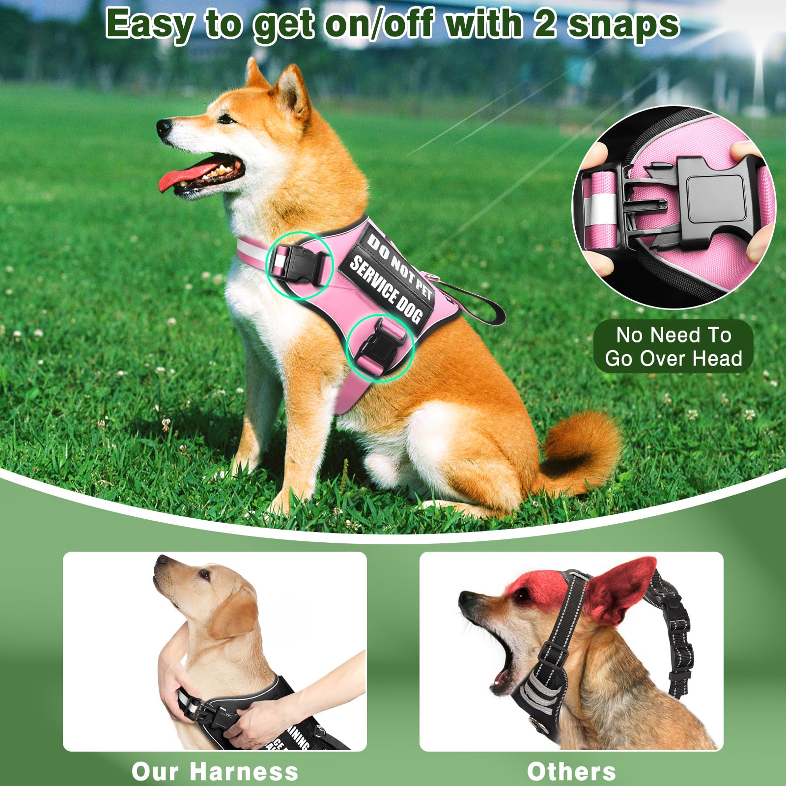 MOOGROU carte d'identification insérée dans la pochette pour informations du chien