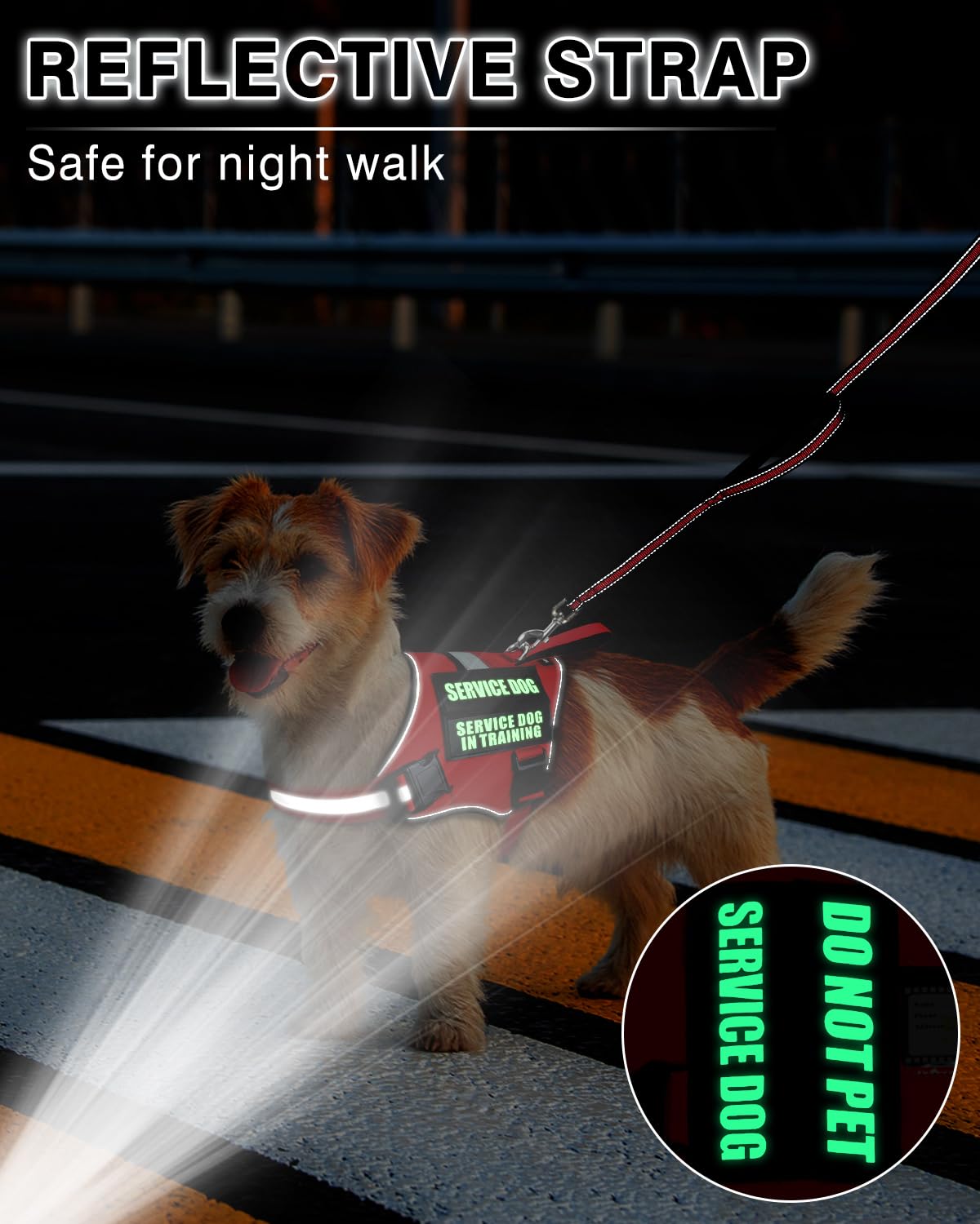 MOOGROU chien en balade urbaine portant le harnais pour sécurité visible