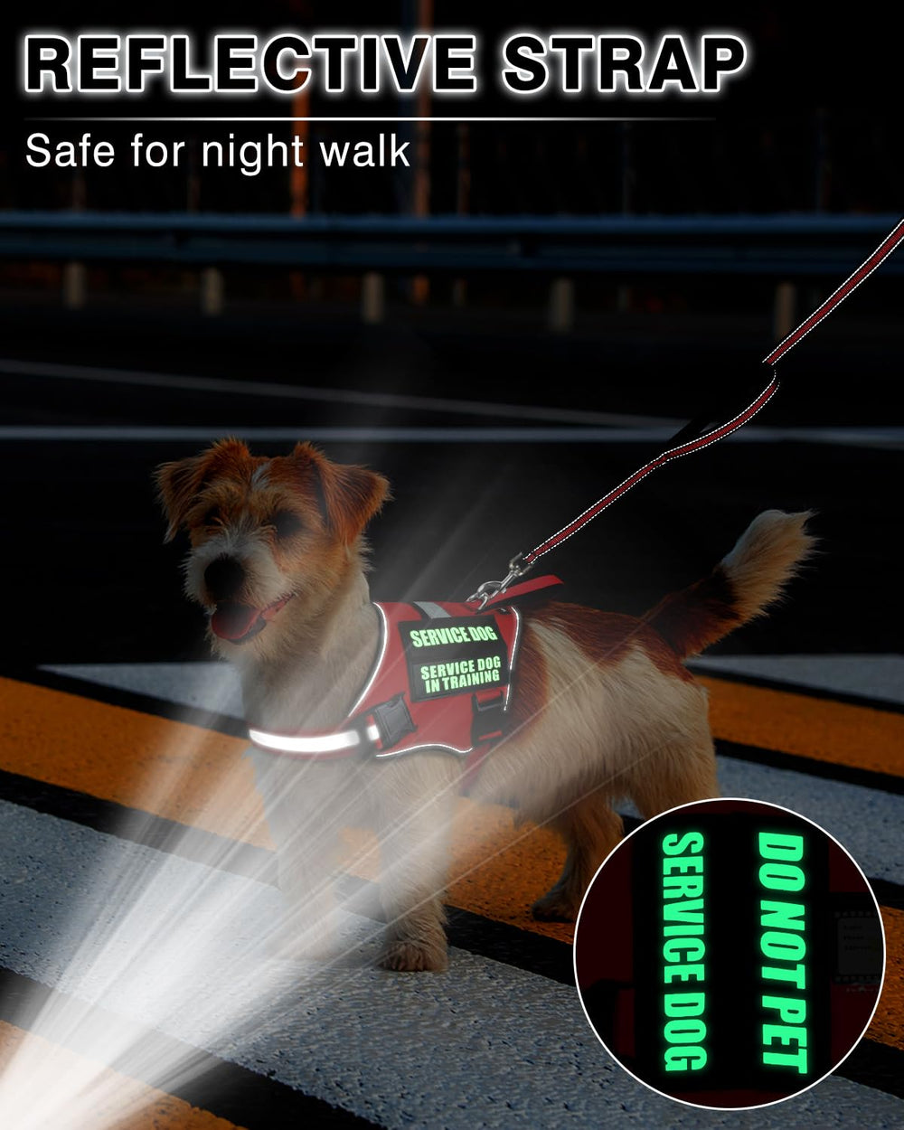 MOOGROU chien en balade urbaine portant le harnais pour sécurité visible