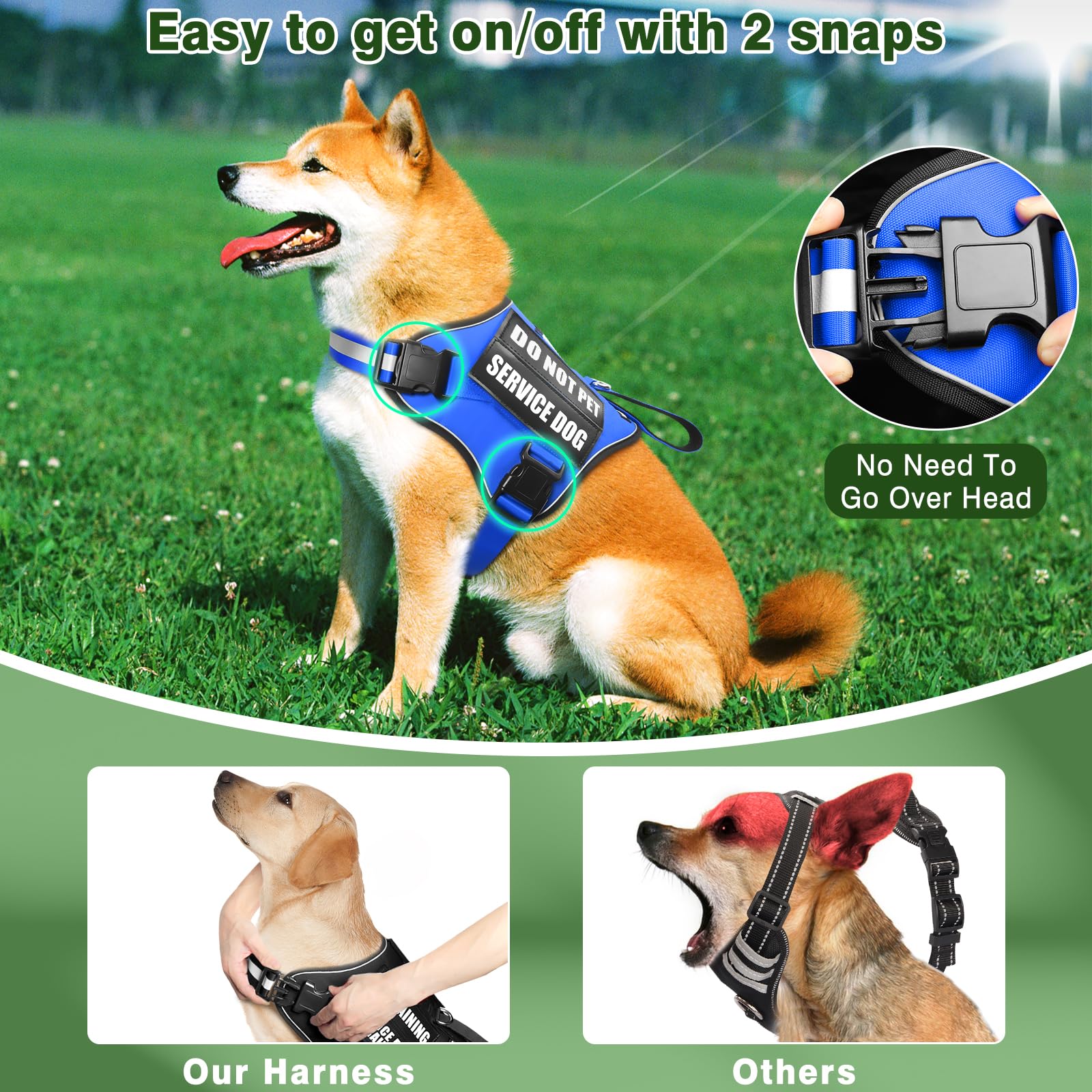 MOOGROU chien en harnais bleu en promenade urbaine augmentant visibilité