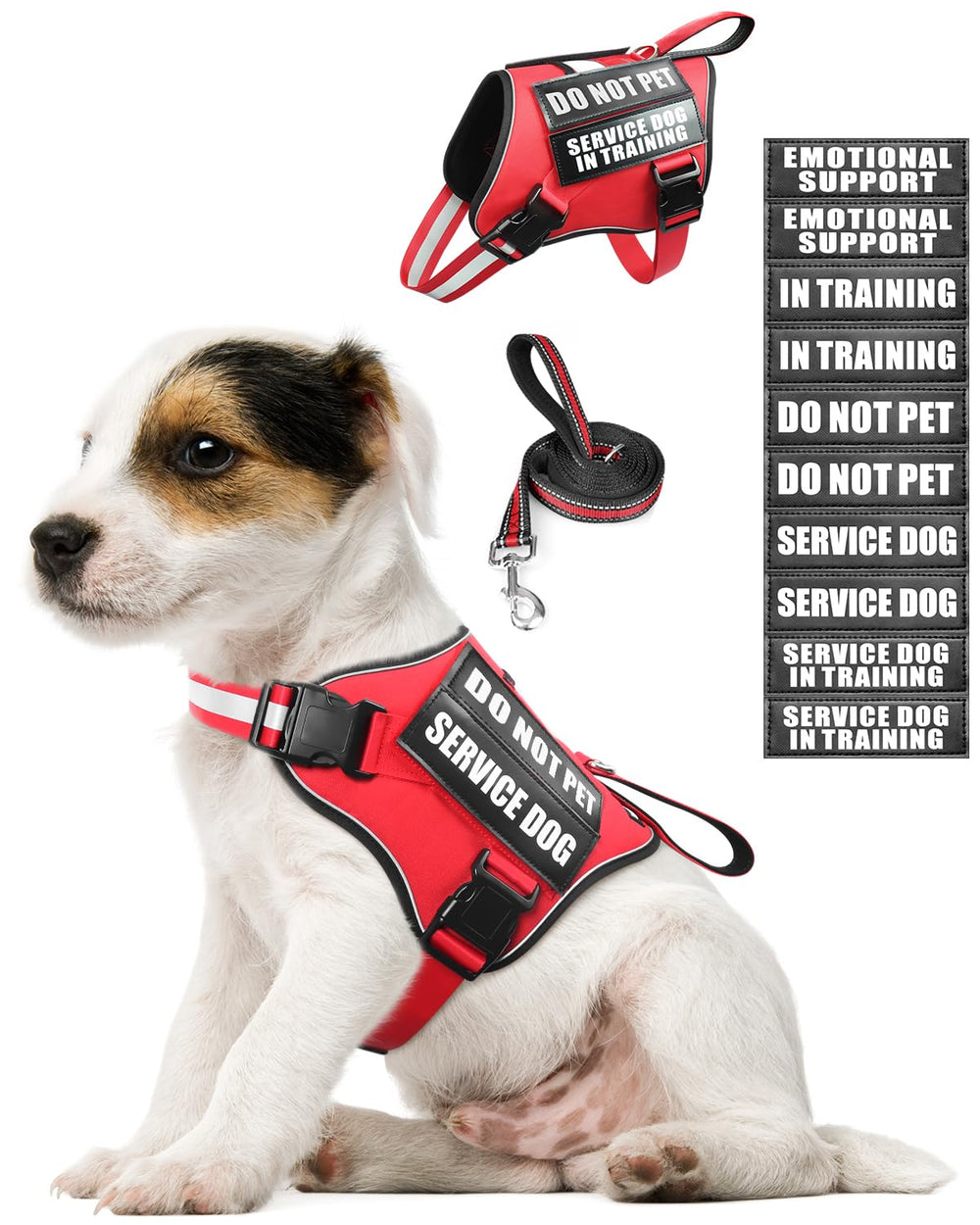 MOOGROU harnais gilet face avant rouge montrant visibilité et fermeture facile