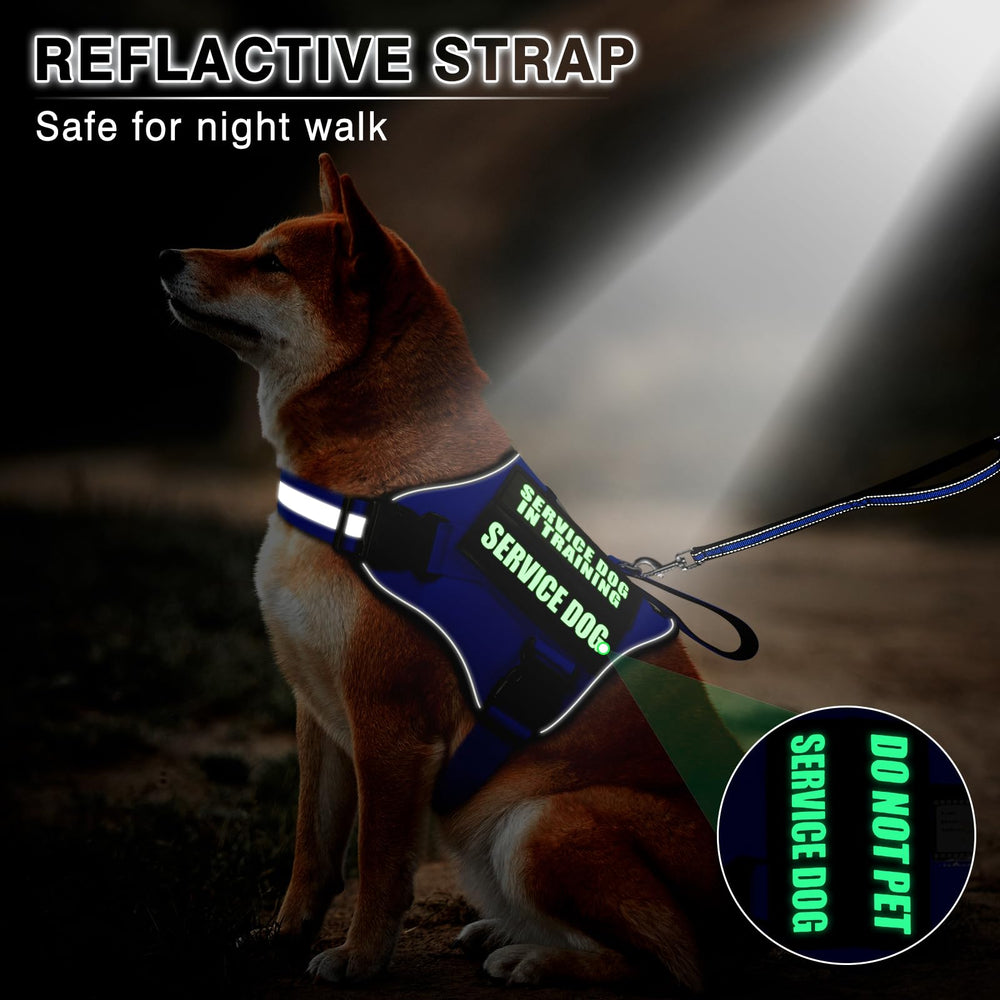 MOOGROU ensemble de patches velcro lumineux pour signaler statut du chien