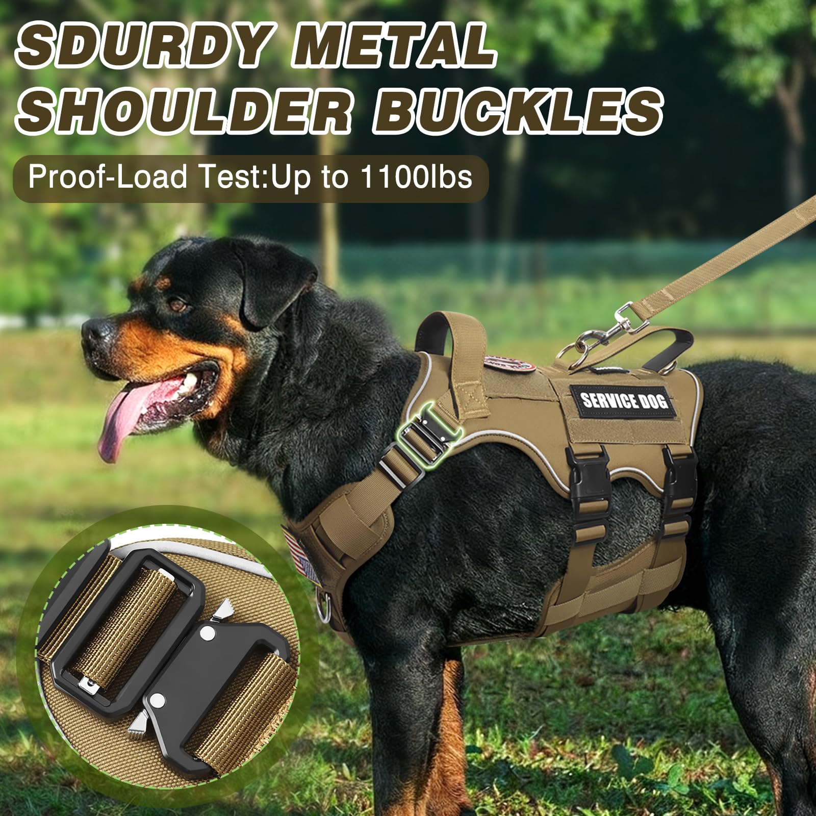 MOOGROU harnais porté sur chien taille M montrant coupe et maintien