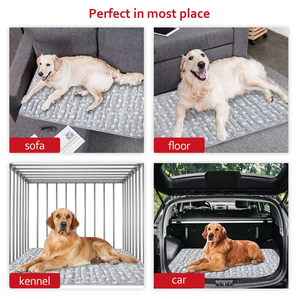 Moonsea tapis en salon montrant protection meuble et style