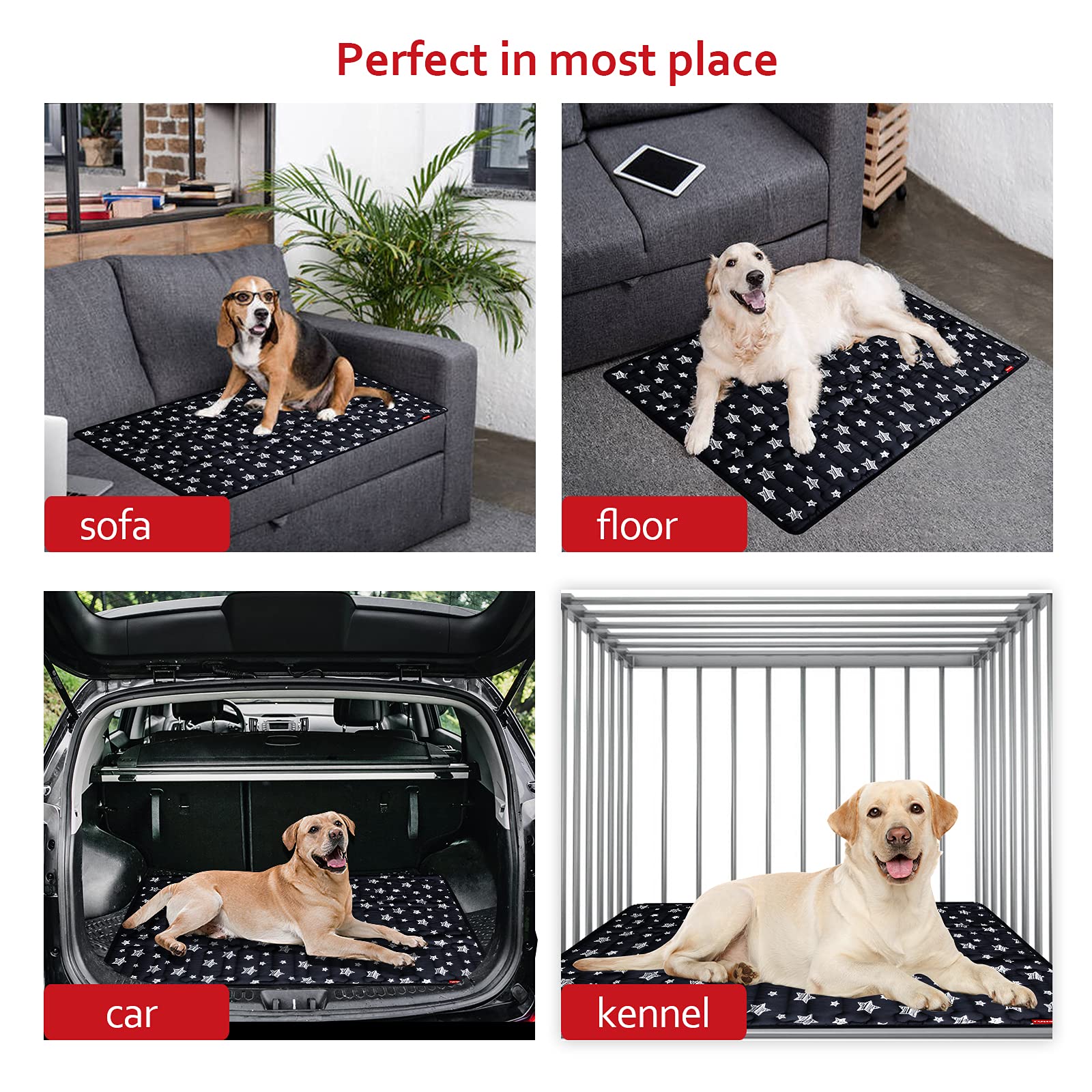 Moonsea tapis dans un salon apportant protection et style