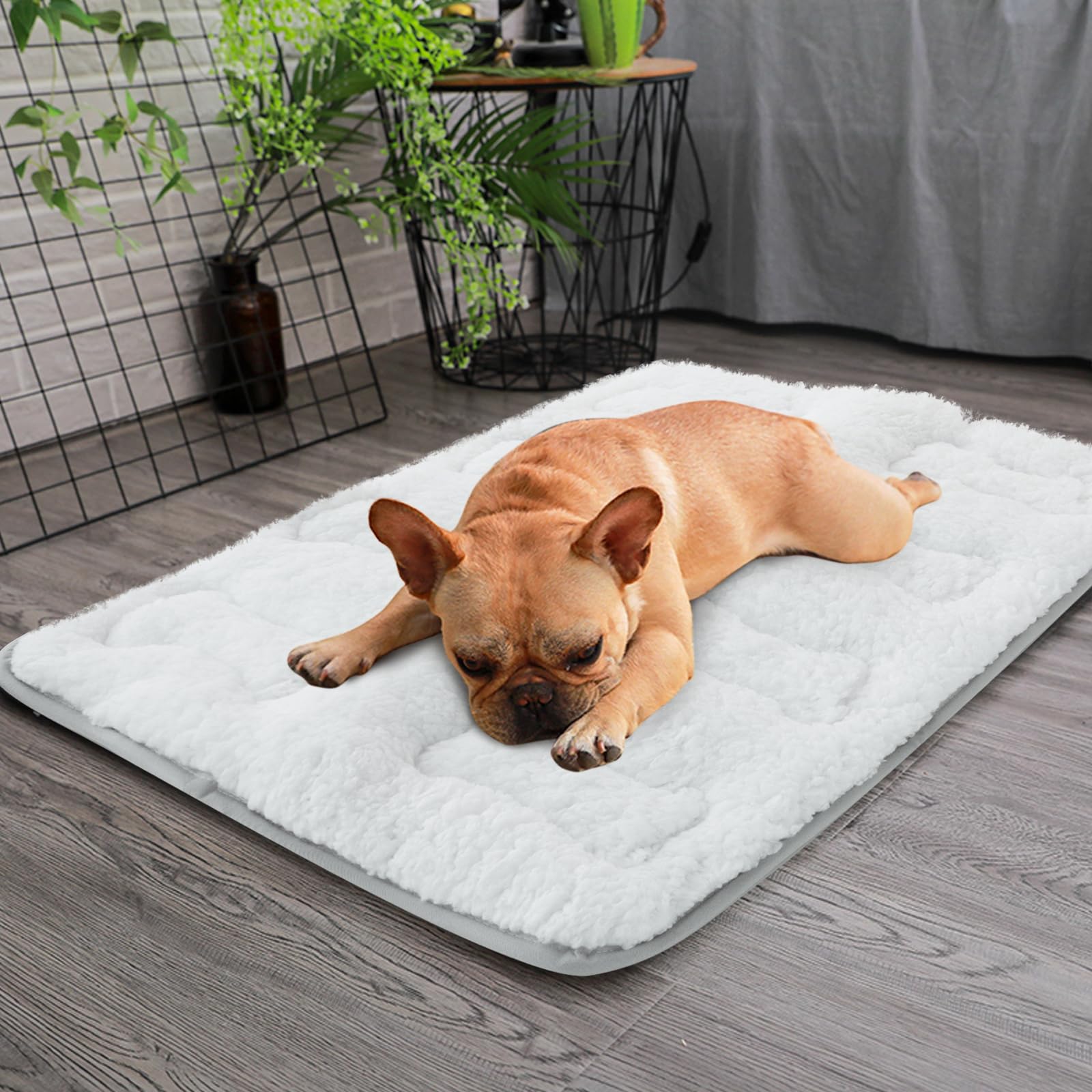 Moonsea tapis comparaison taille montrant adéquation pour petits chiens