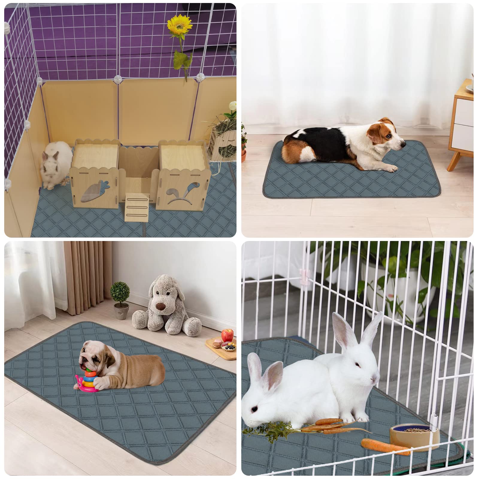 Mooydee comparaison taille 120x60 cm pour adéquation cage