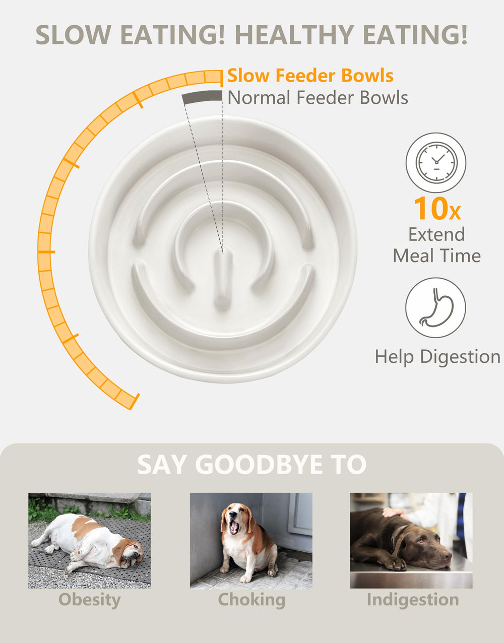 MOPANG gamelle en usage avec chien mangeant plus lentement