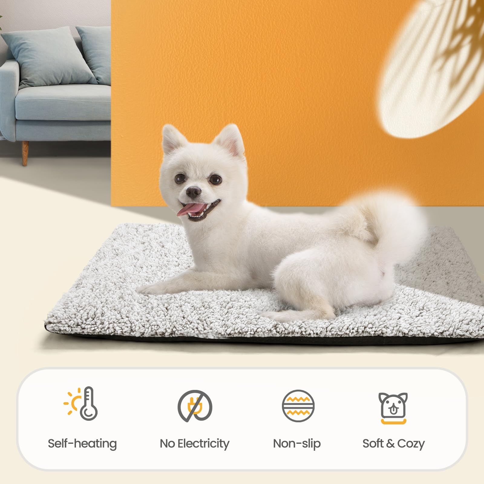 Mora Pets comparaison des tailles disponibles, choix adapté à l'animal